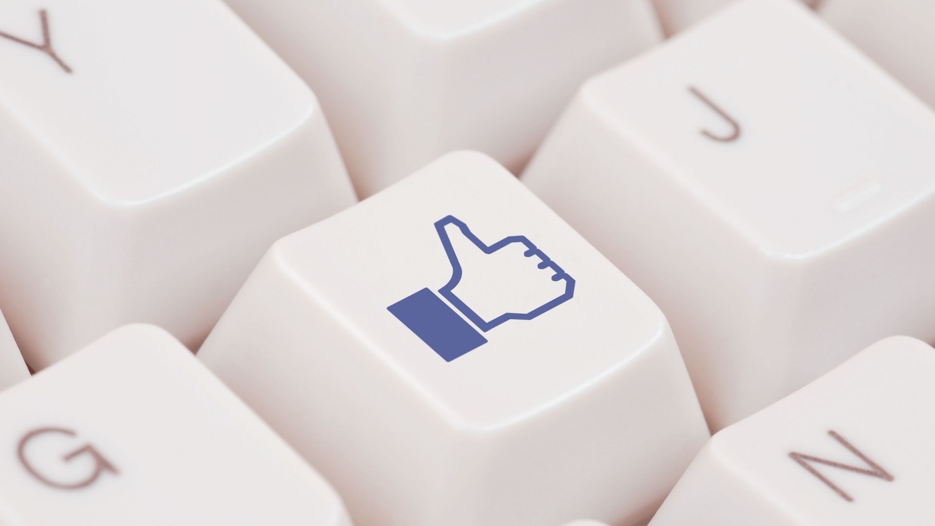 Kampania reklamowa na facebooku